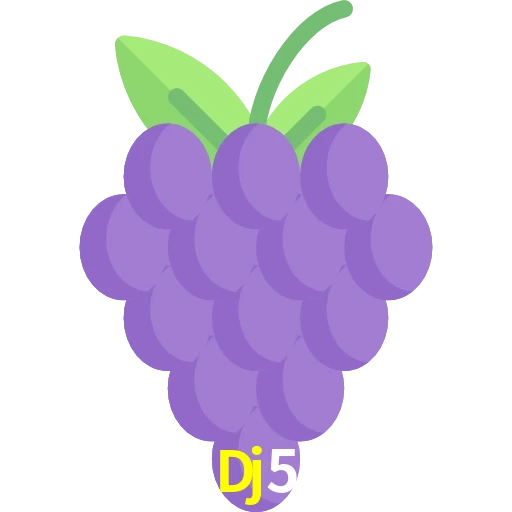 Dj5